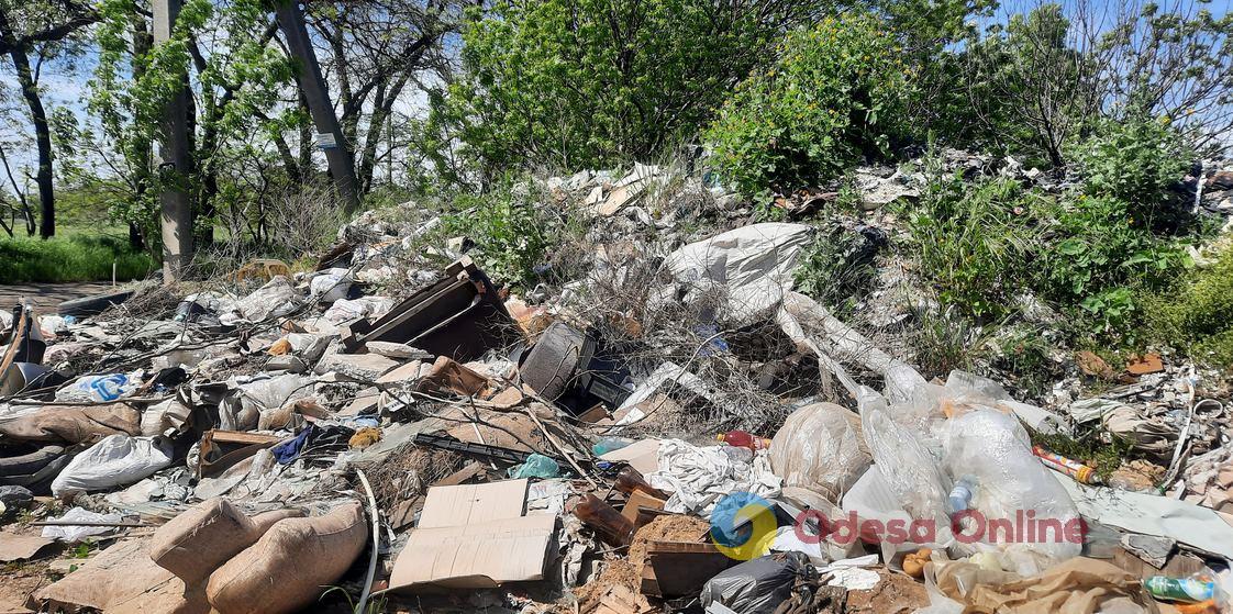 Екологи б’ють на сполох: несанкціоноване сміттєзвалище поблизу ЖК «Райдужний» збільшилося у 3 рази