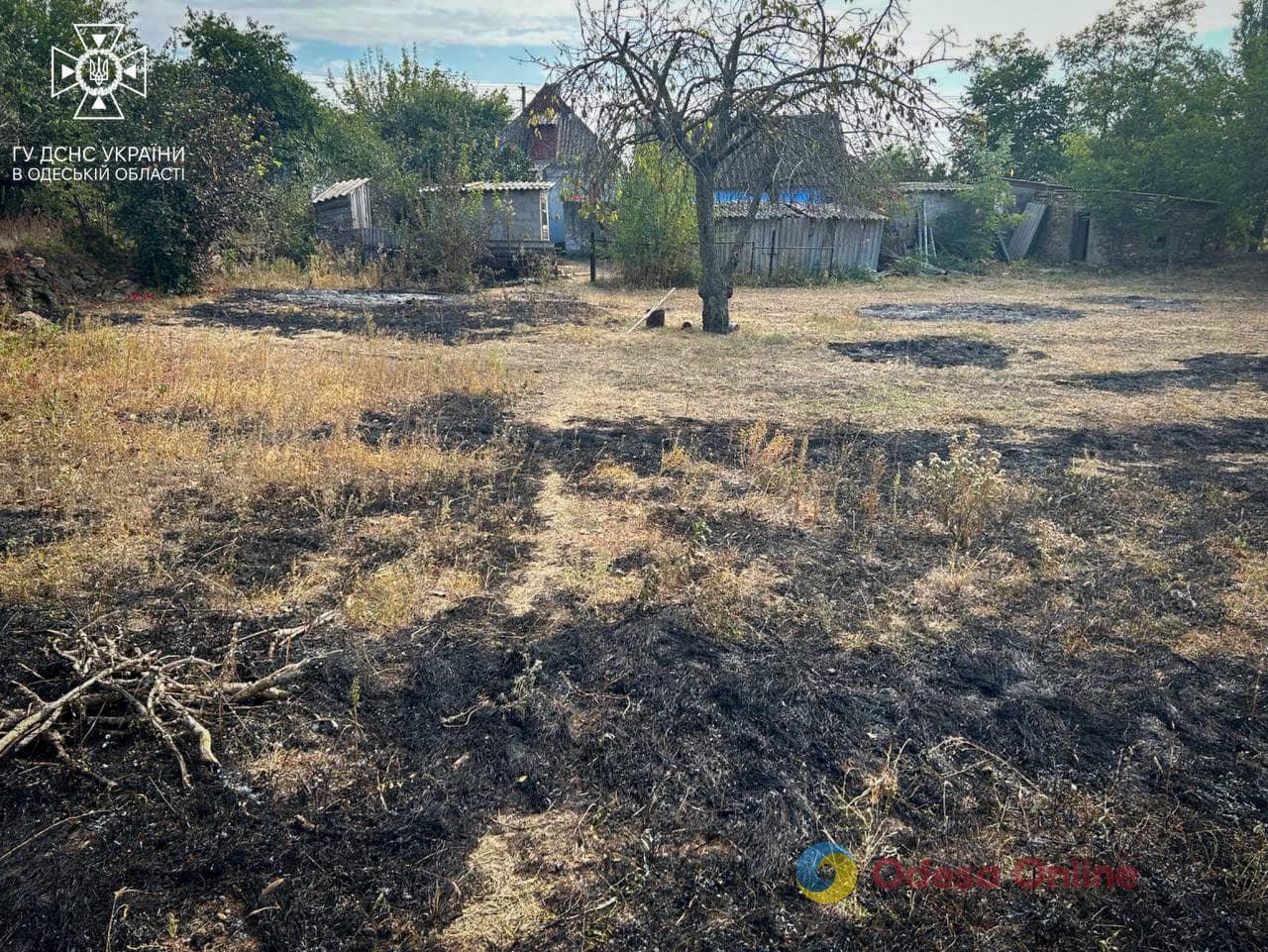 На Одещині спіймали двох паліїв трави