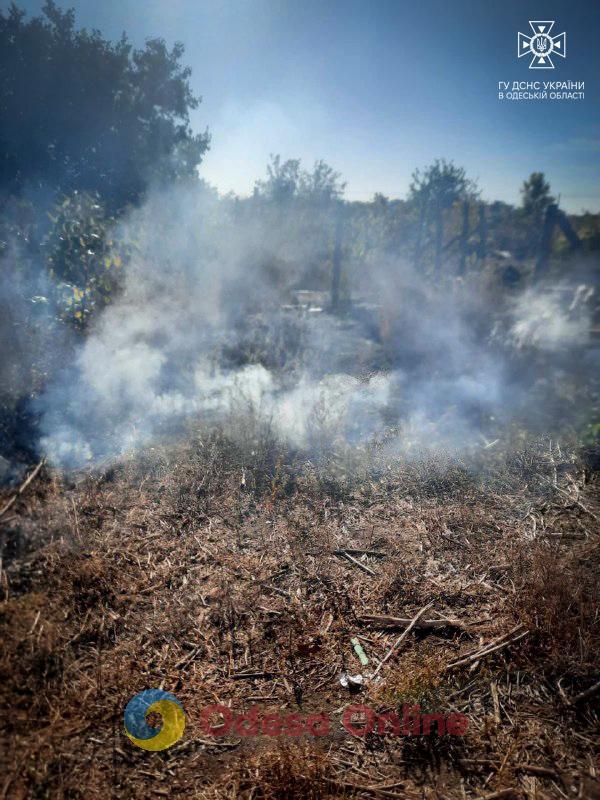За сжигание травы жительнице Одесской области «светит» до 6 тысяч штрафа