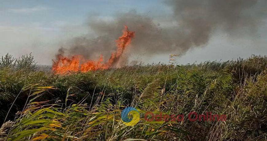 В Одесской области за сутки выгорело 56 гектаров земли
