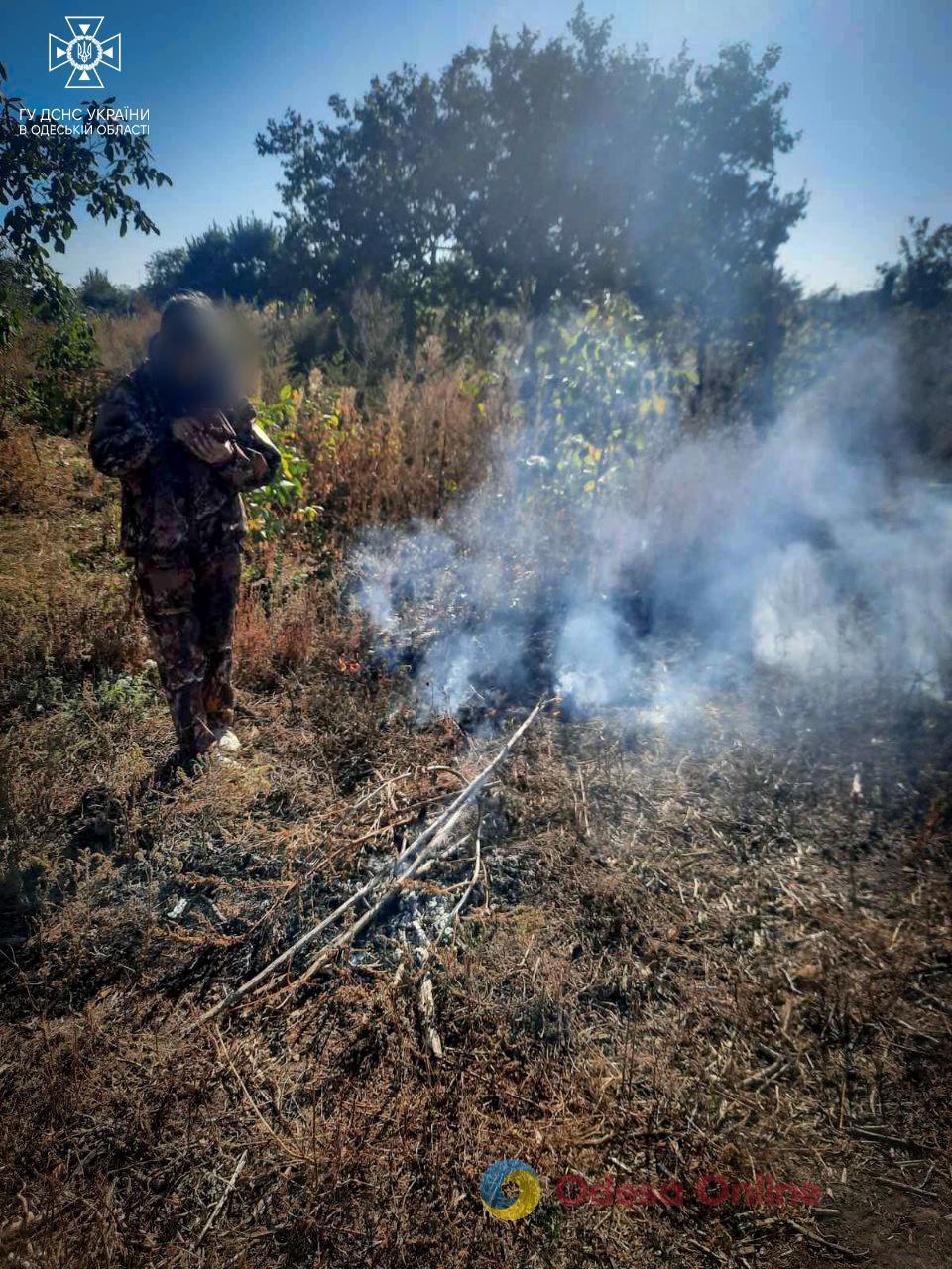 За сжигание травы жительнице Одесской области «светит» до 6 тысяч штрафа