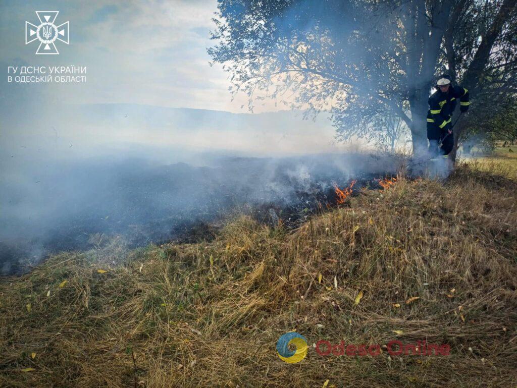 В Одесской области оштрафовали любителя жечь сухую траву