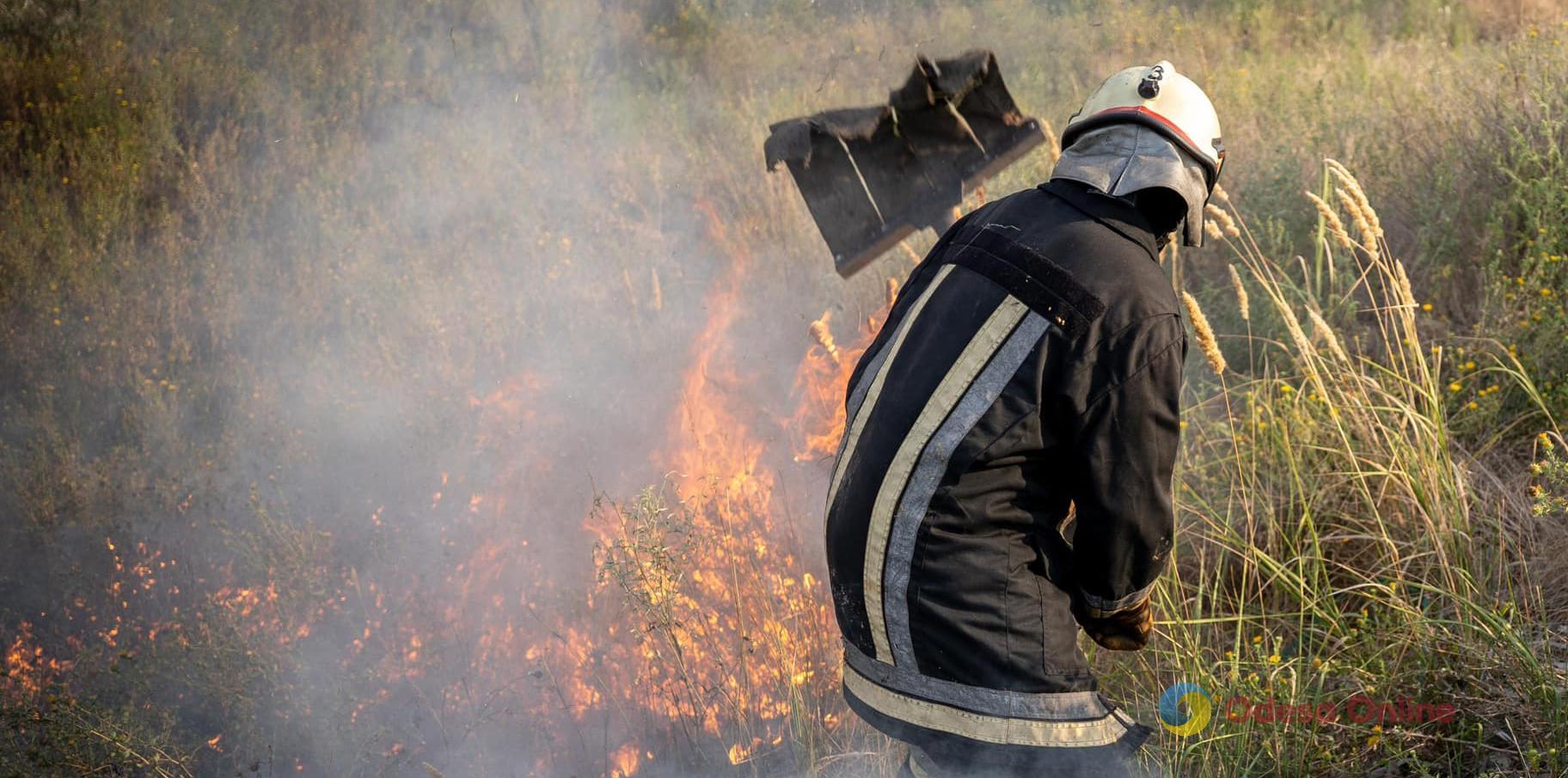 Одеська область продовжує горіти: рятувальники опублікували відео ліквідації пожеж в екосистемах за останню добу