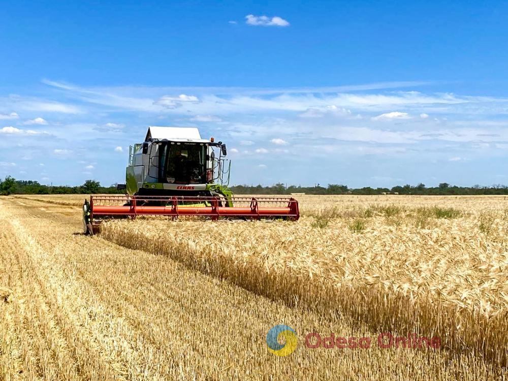 Аграрии Одесской области намолотили уже более 3 миллионов тонн зерна, – Минагрополитики