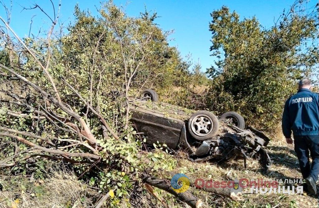 В Одесской области Mitsubishi перевернулся и врезался в дерево — два человека погибли