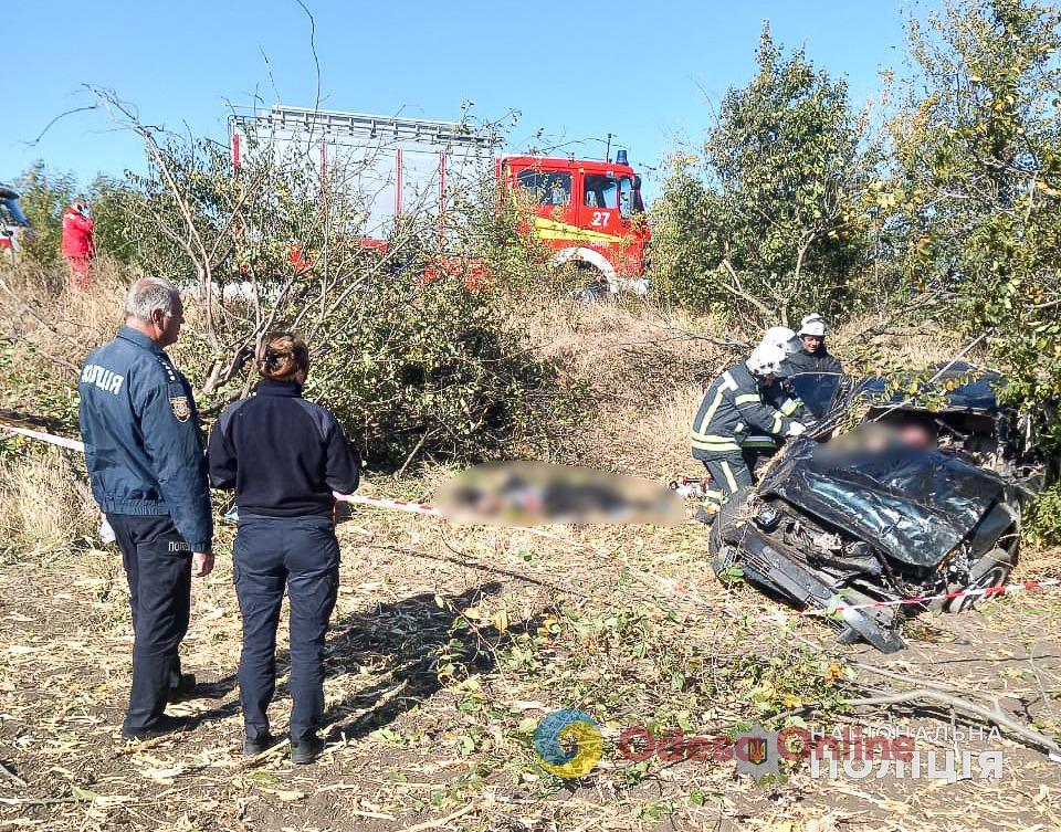 В Одесской области Mitsubishi перевернулся и врезался в дерево — два человека погибли