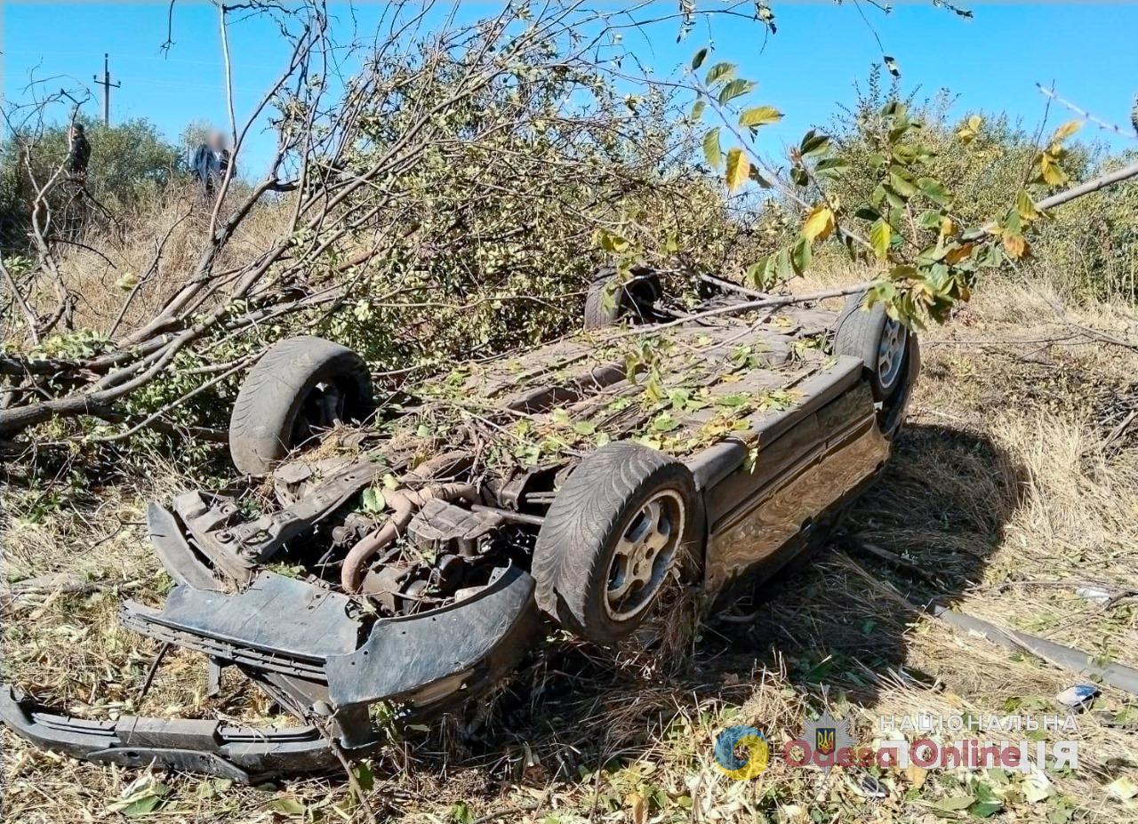 В Одесской области Mitsubishi перевернулся и врезался в дерево — два человека погибли