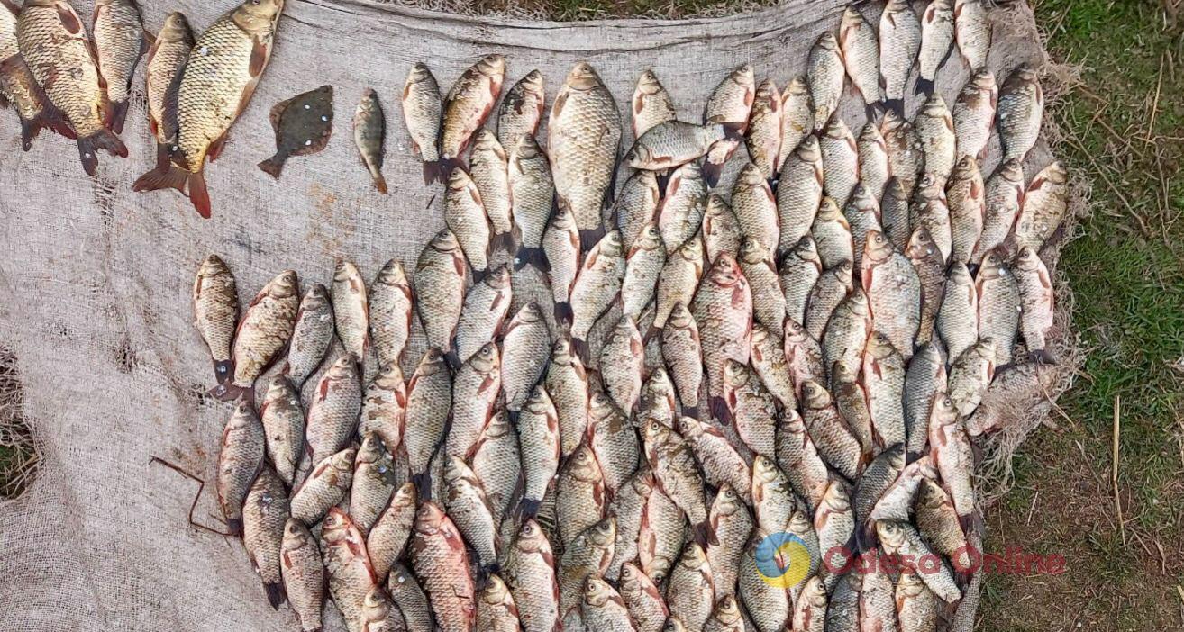 На Одещині браконьєр наловив риби на 290 тис. гривень