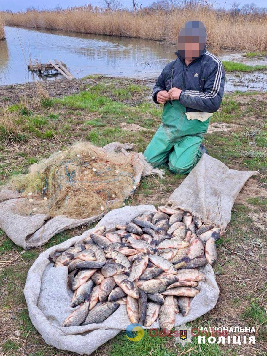 Мешканець Одещини незаконно наловив на території «Тузлівських лиманів» риби на понад 330 тисяч гривень