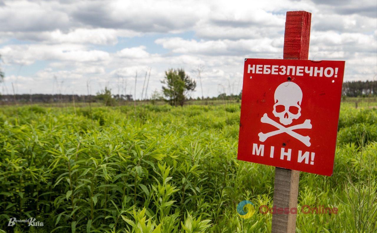 На деокупованій Херсонщині розмінували 15% території На деокупованій Херсонщині розмінували 15% території