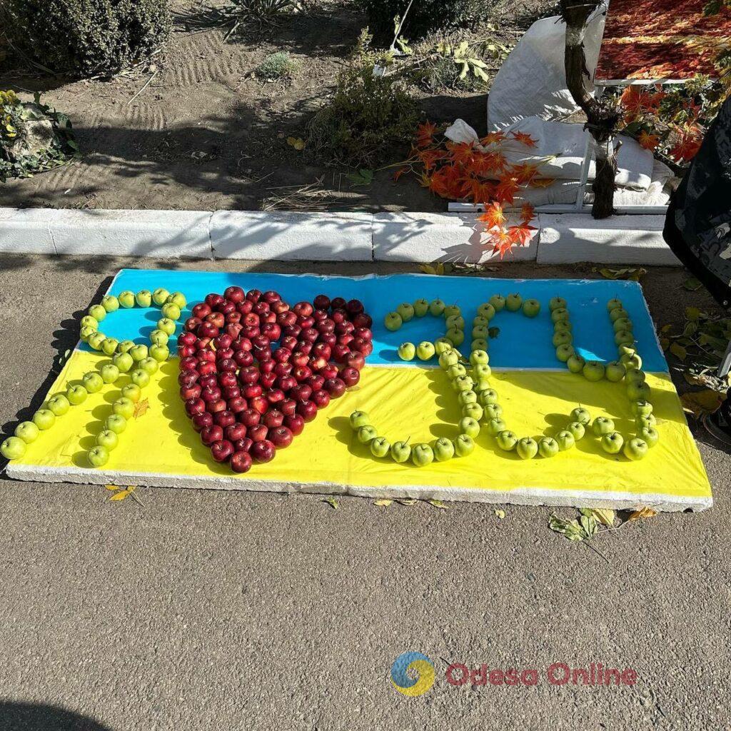 Яблучний WEEKEND: Новопетрівський ліцей Великомихайлівської громади встановив національний рекорд