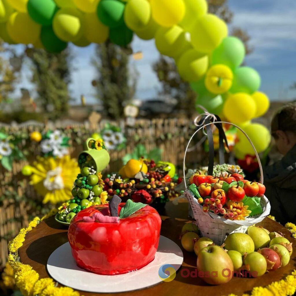 Яблучний WEEKEND: Новопетрівський ліцей Великомихайлівської громади встановив національний рекорд