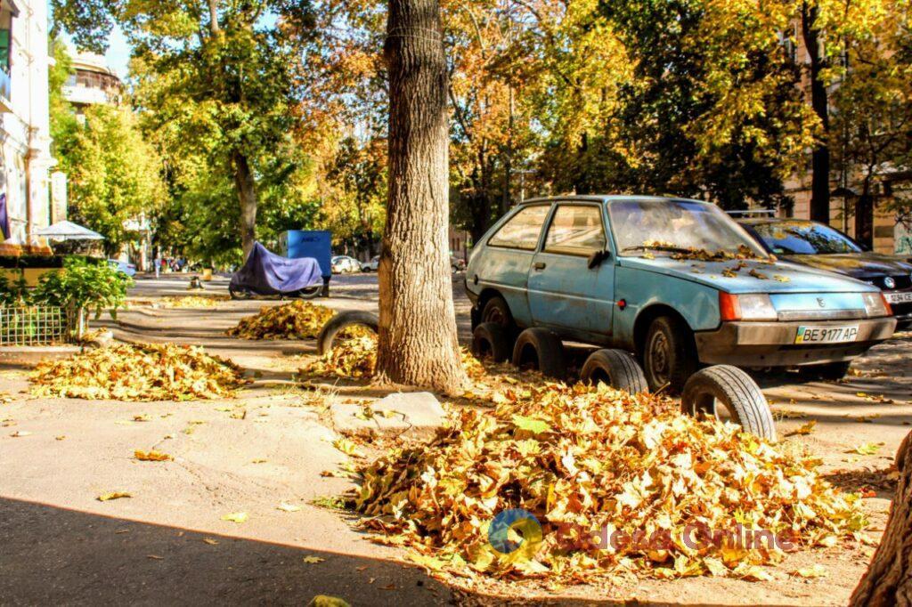 Золота осінь в Одесі (фоторепортаж)