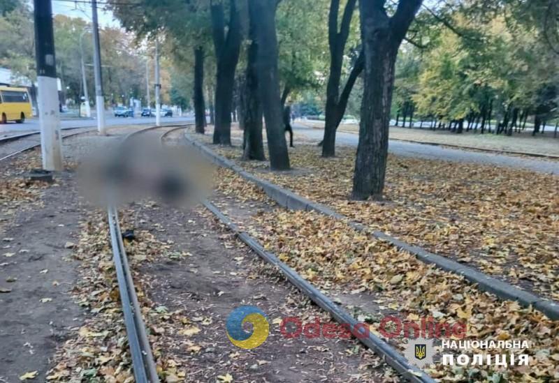 В Одессе на трамвайных путях нашли тела мужчины и собаки (обновлено)