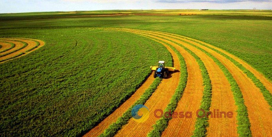 Белгород-Днестровский район: прокуратура отсудила у фермеров землю стоимостью 20 млн гривен