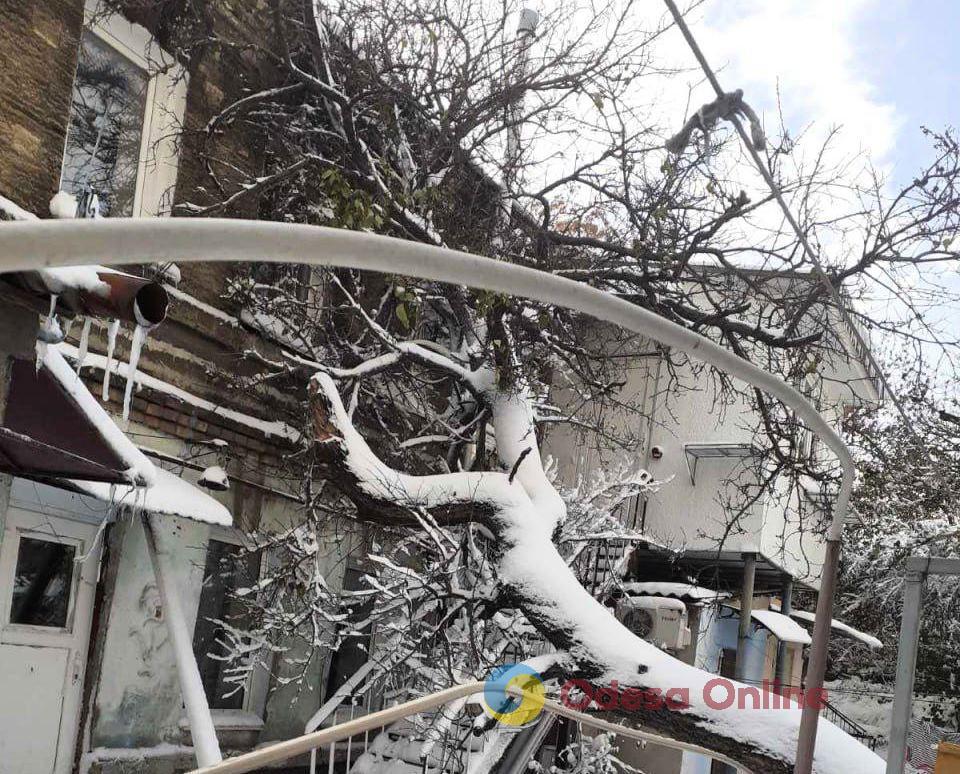 В Одессе спасатели вызволили из заблокированного дома женщину (фото)