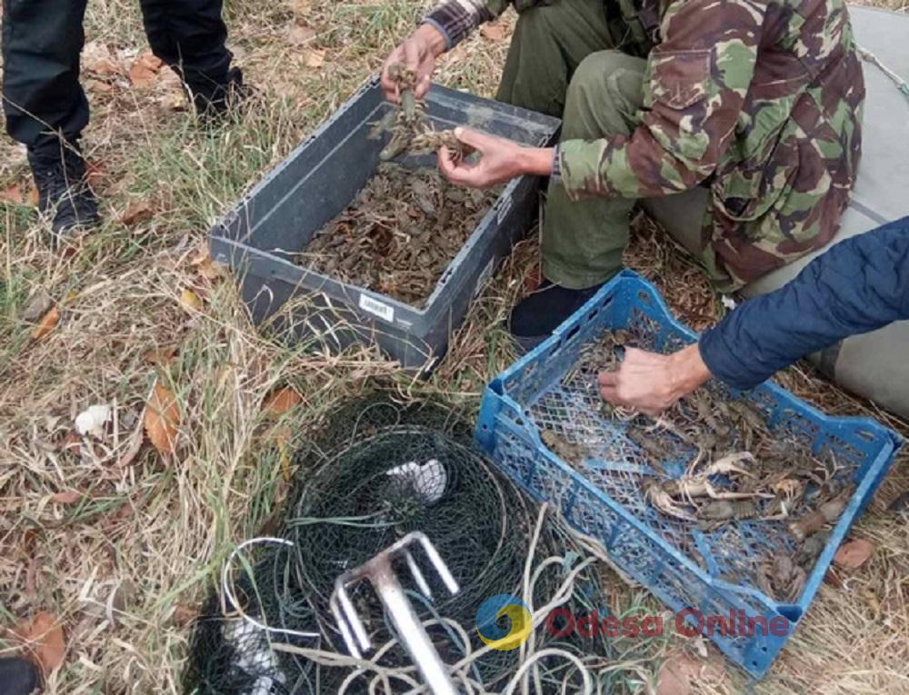 В Одесской области двое браконьеров наловили раков на миллион гривен