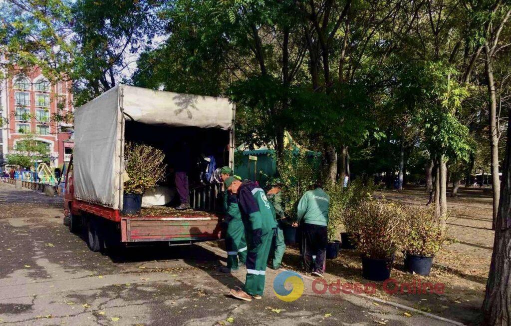 Одесские коммунальщики начали благоустраивать Старобазарный сквер (фото)