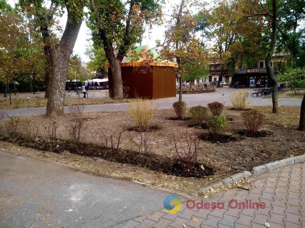 Одесские коммунальщики начали благоустраивать Старобазарный сквер (фото)