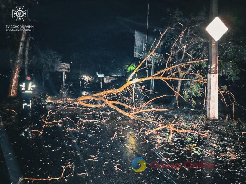 В Одесі через негоду впали більше півсотні дерев (фото)