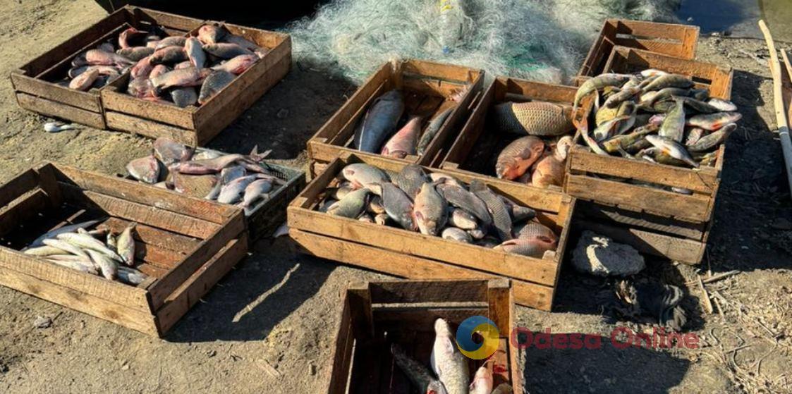 На Одещині затримали браконьєрів із уловом на 1 мільйон 300 тисяч грн