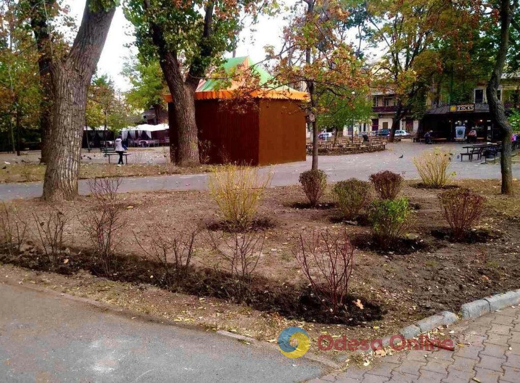 Одеські озеленювачі висаджують чагарники та готують квітники до зими (фото)