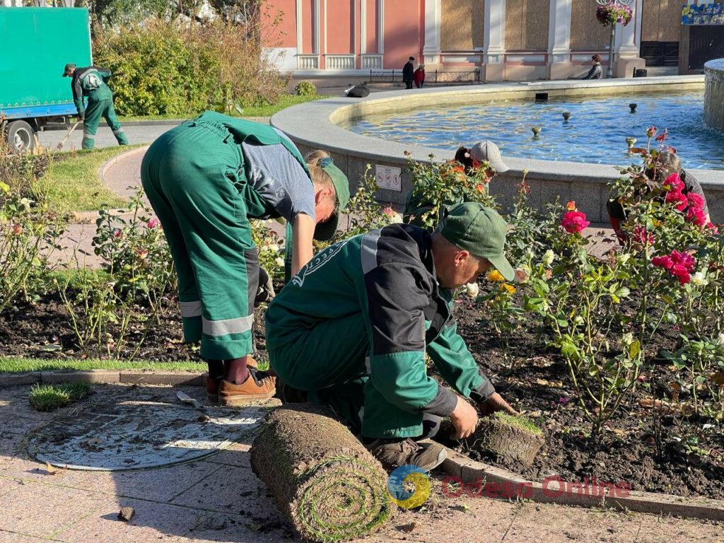 Одеські озеленювачі висаджують чагарники та готують квітники до зими (фото)