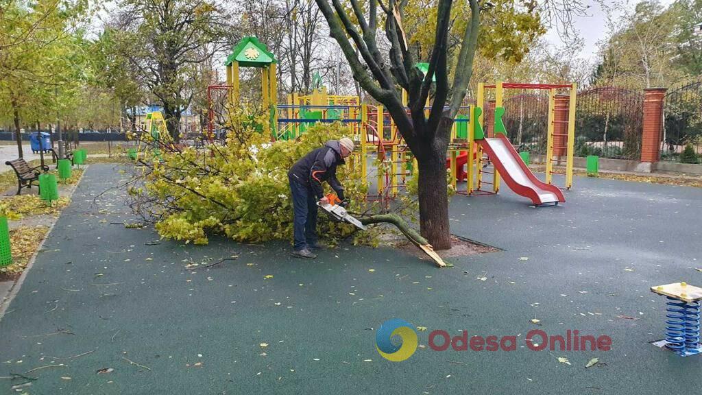 Шторм в Одессе: повалены уже 160 деревьев и больших ветвей