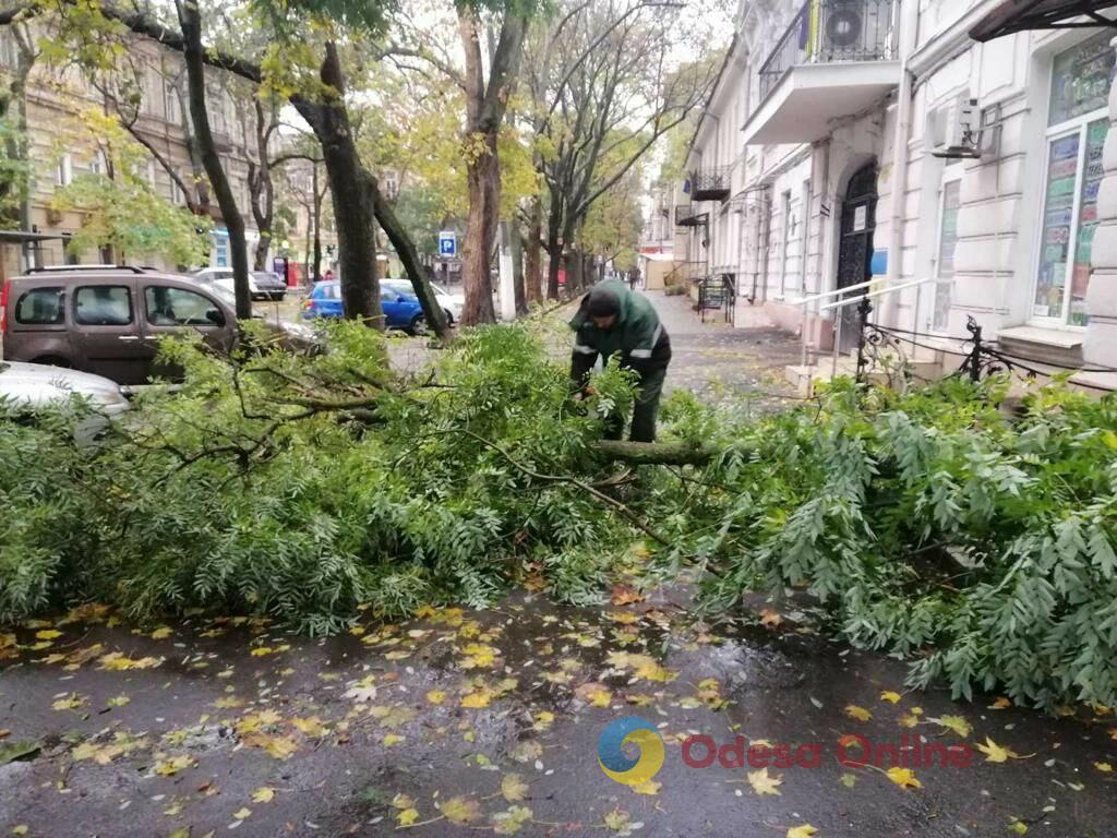 Шторм в Одесі: повалено вже 160 дерев та великих гілок