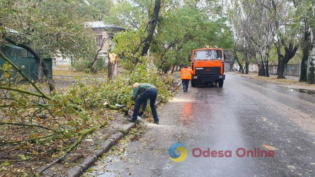 Шторм в Одессе: повалены уже 160 деревьев и больших ветвей