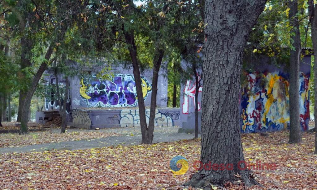 Опале листя, сумні ворони та самотні перехожі: в Одесі настала справжня осінь (фоторепортаж)