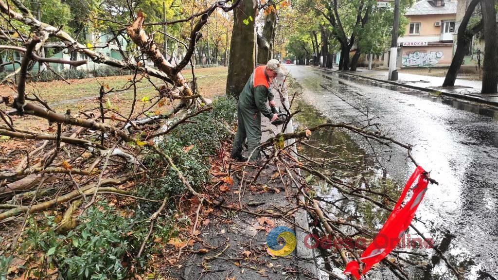 Негода повалила в Одесі дев’ять дерев та шість великих гілок
