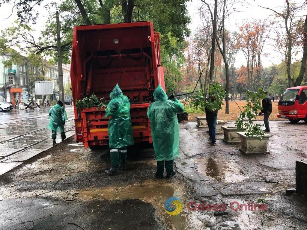 Непогода повалила в Одессе девять деревьев и шесть больших веток