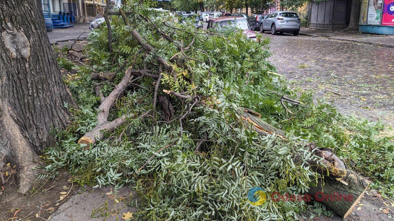 Шторм в Одессе: улица Льва Толстого завалена упавшими ветвями (фотофакт)