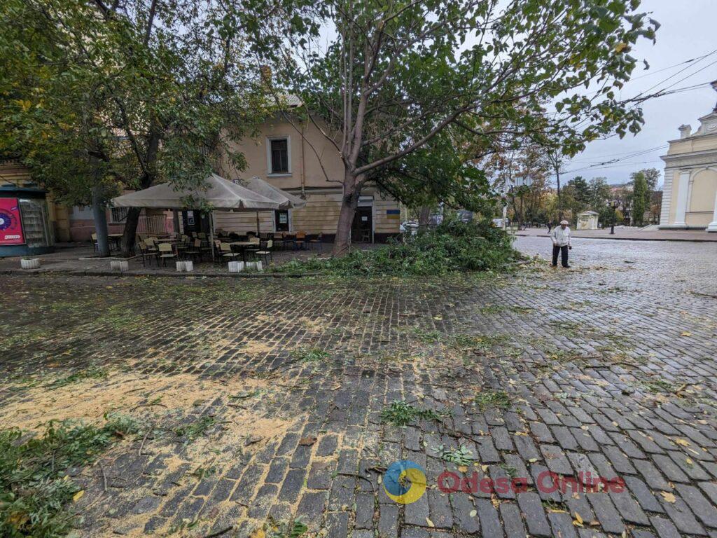 Шторм в Одесі: вулиця Льва Толстого завалена впавшими гілками (фотофакт)