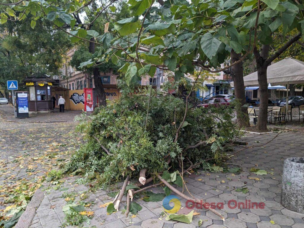 Шторм в Одессе: улица Льва Толстого завалена упавшими ветвями (фотофакт)