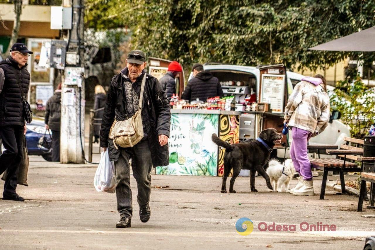 Ставок з черепахами та качками, але вже без лебедів: прогулянка одеським парком Перемоги (фоторепортаж)