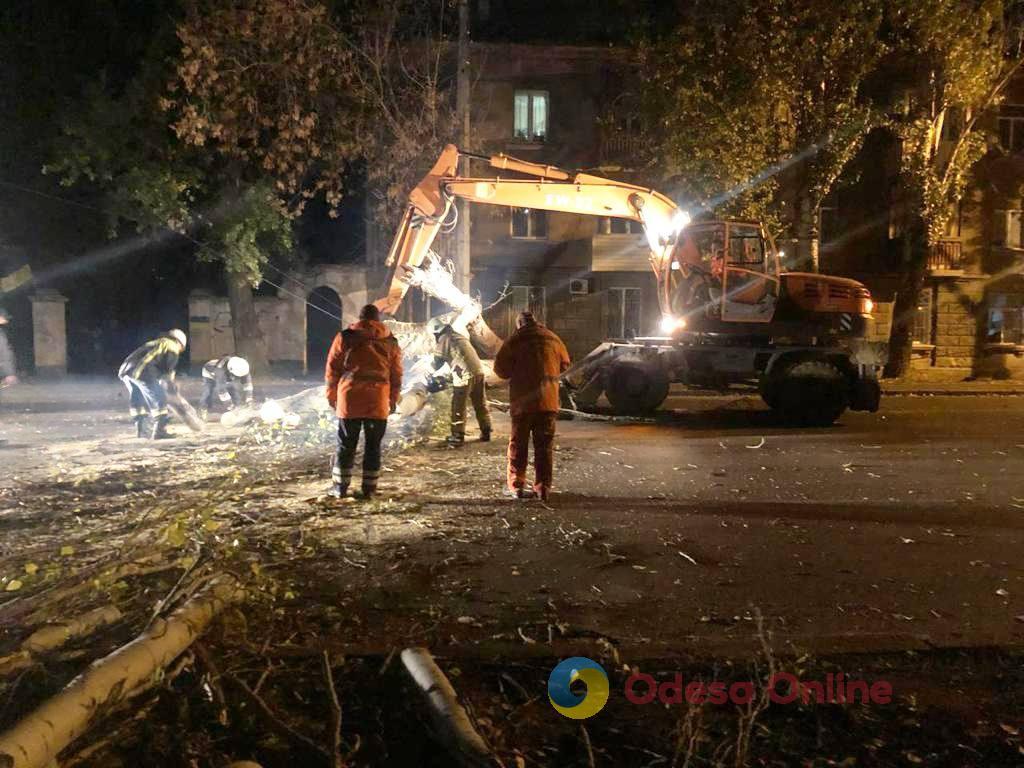 Одесса: на Пересыпи большое дерево упало на дорогу (фото)