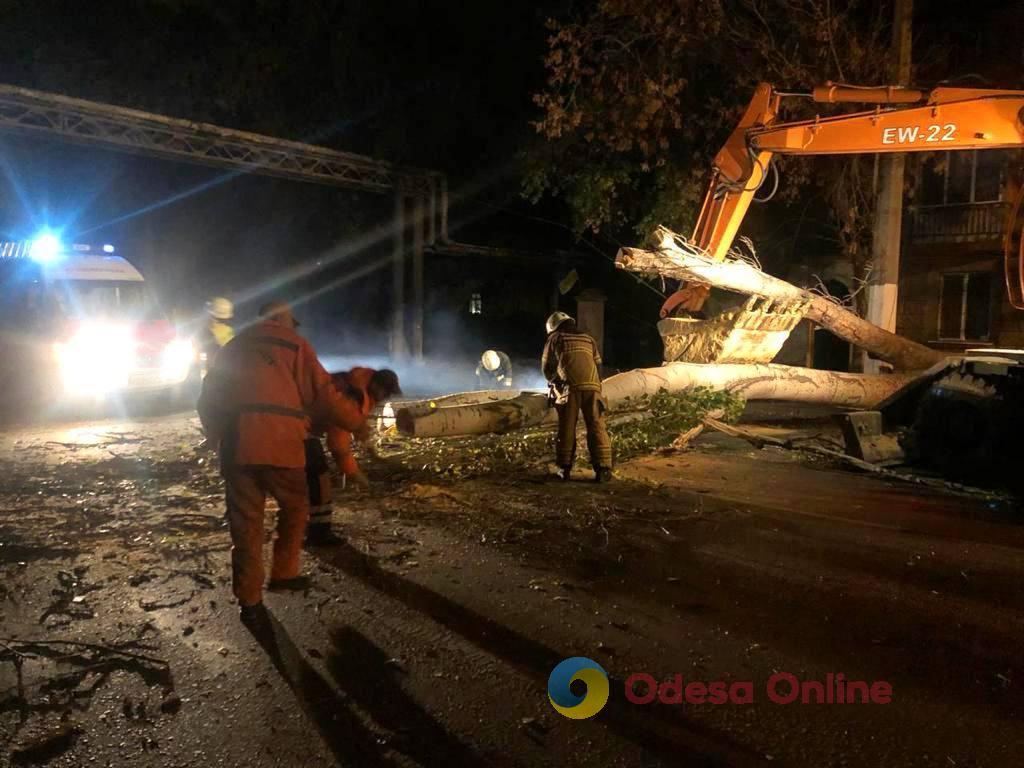 Одесса: на Пересыпи большое дерево упало на дорогу (фото)
