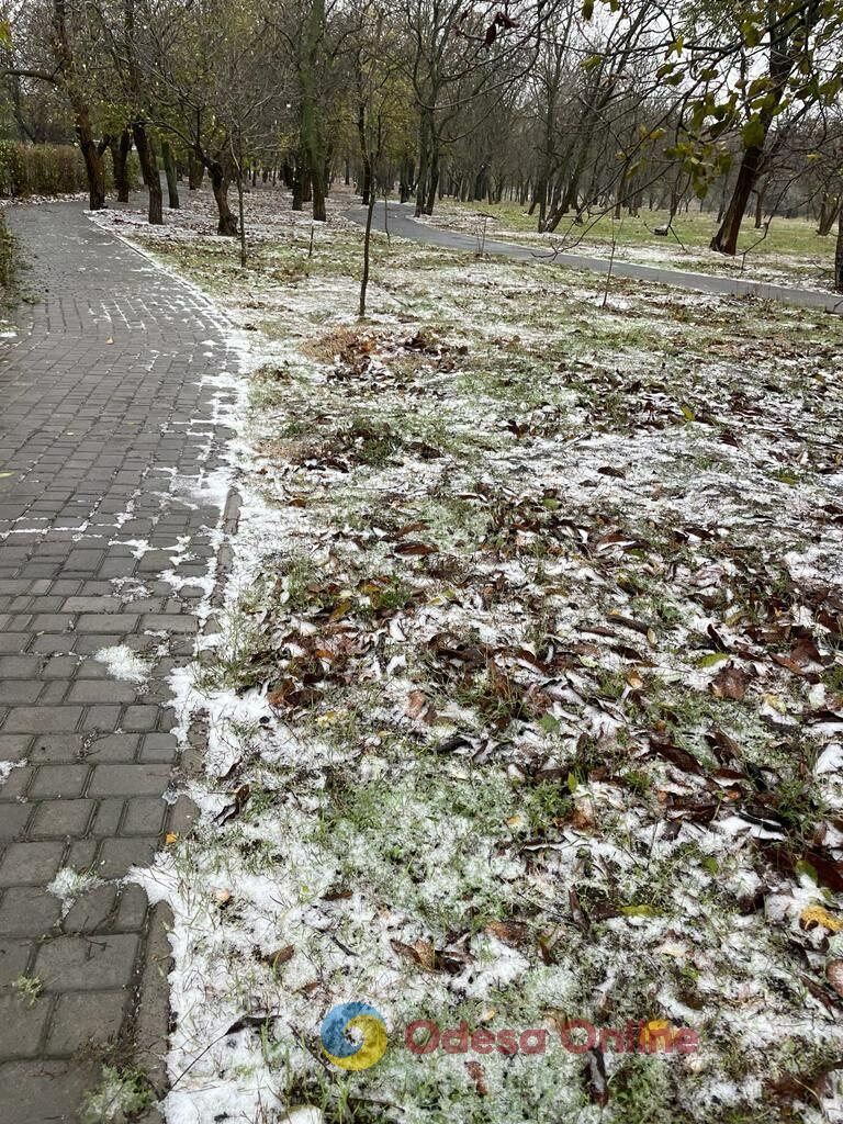 В Одессе выпал снег (фото, видео)