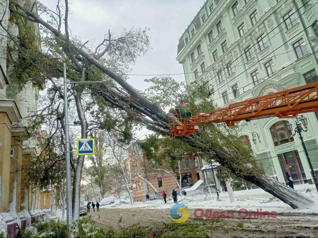 Одесские коммунальщики расчищают улицы города от снега и упавших деревьев (фото)