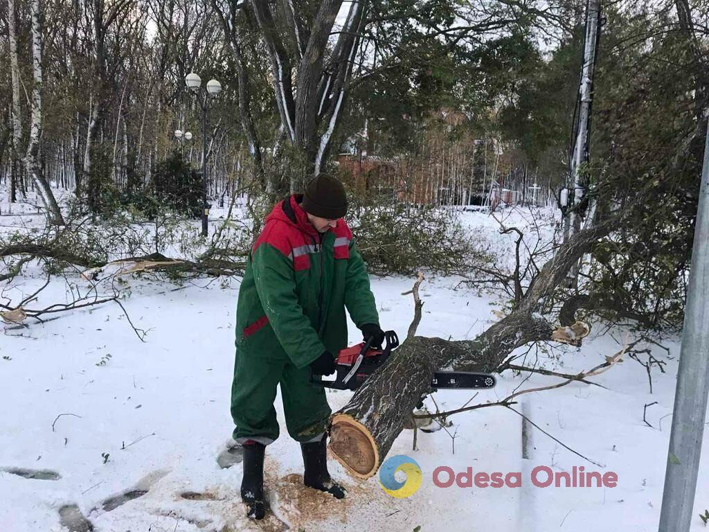 Одеські комунальники розчищають вулиці міста від снігу та впалих дерев (фото)