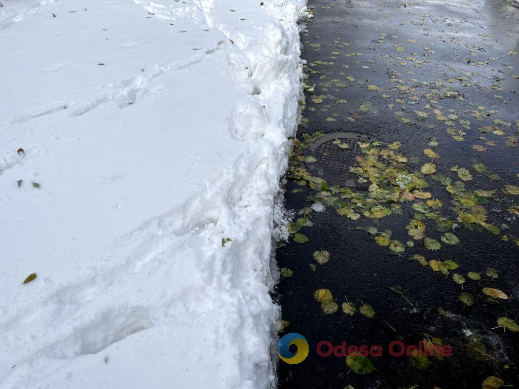 Сніговики, коти та повалені гілки: зима на Дальніх Млинах в Одесі (фоторепортаж)