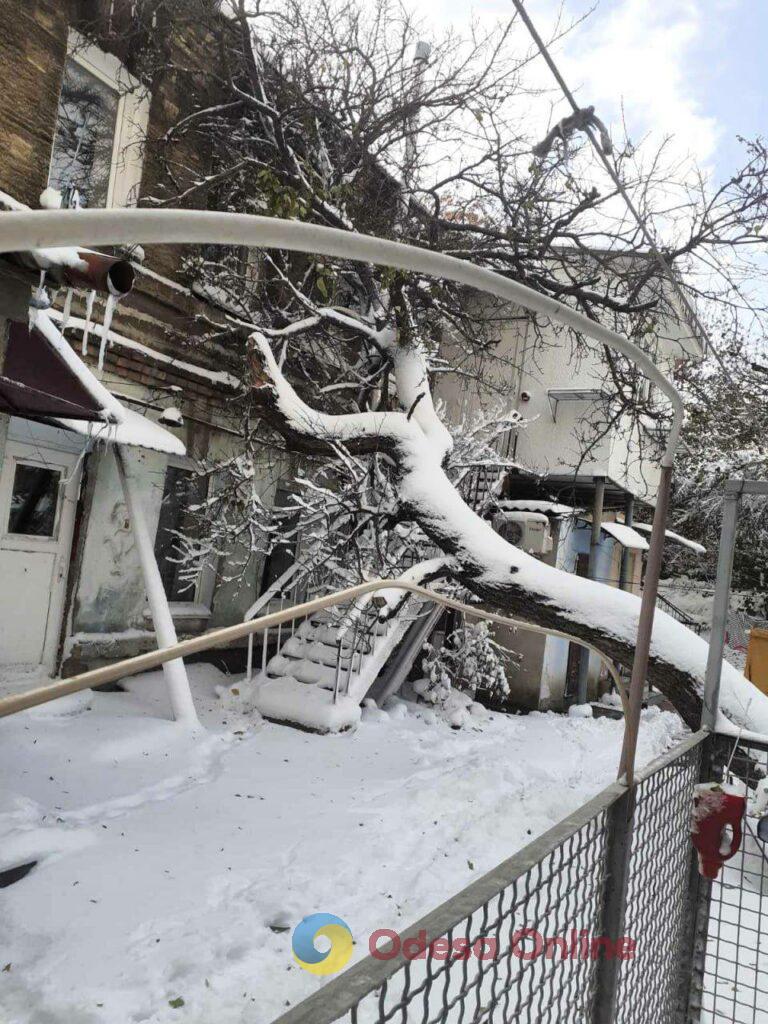 В Одессе спасатели вызволили из заблокированного дома женщину (фото)