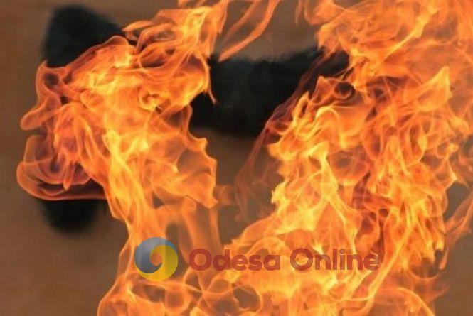 В Одесском районе во время пожара погиб мужчина