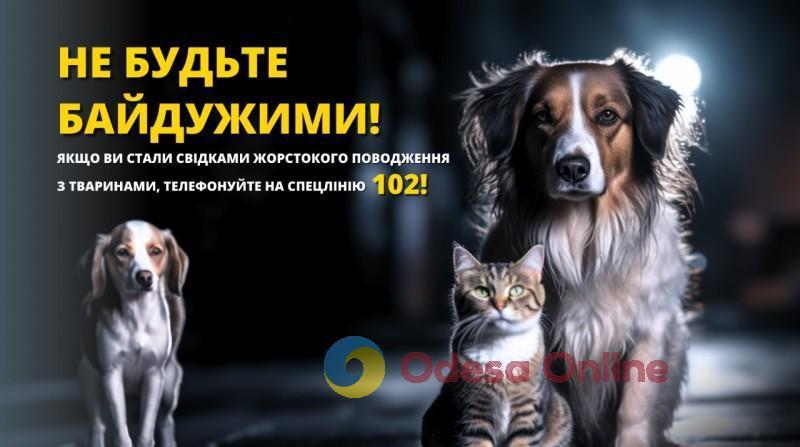 Убил на глазах у детей их собаку об дерево: житель Одесской области может сесть на пять лет