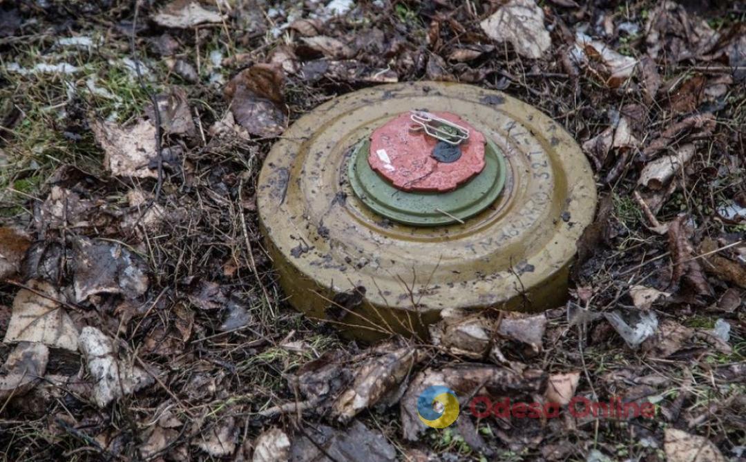 Два случая за два дня: в Николаевской области четыре человека подорвались на минах