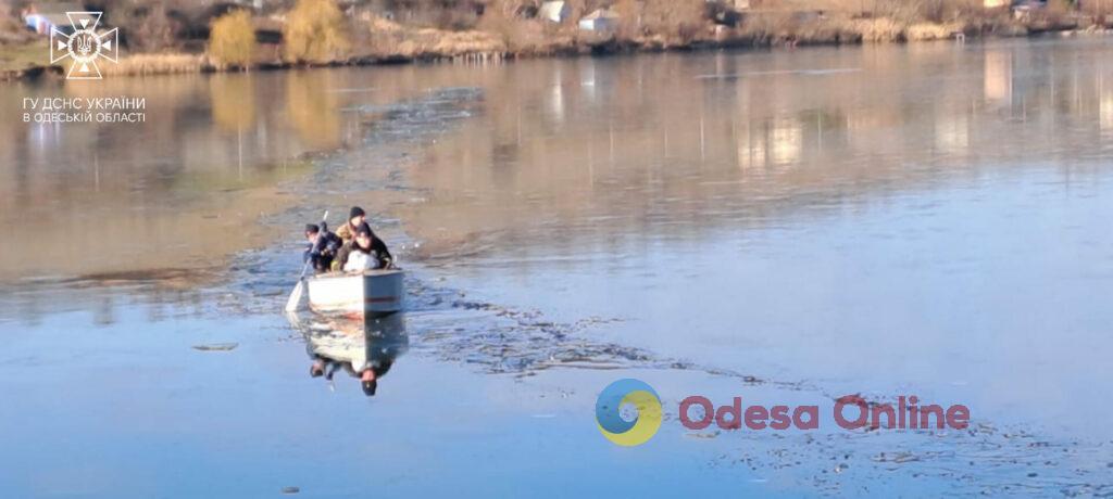 Одесская область: спасатели освободили лебедя из ледяной ловушки