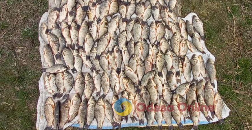 Одеська область: браконьєр заплатить майже 400 тис. гривень за незаконну рибалку