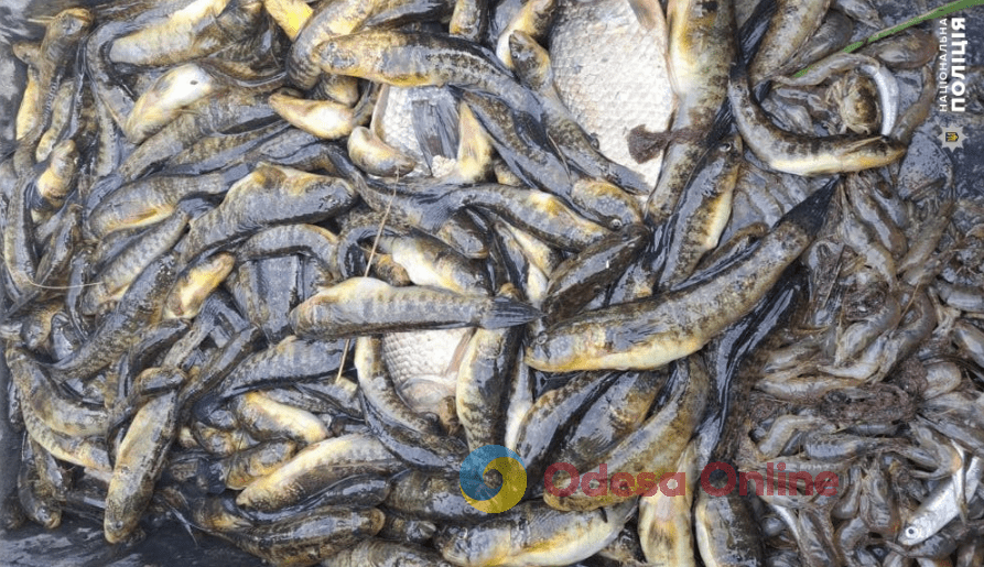 В Одесской области осудили браконьера за вылов рыбы